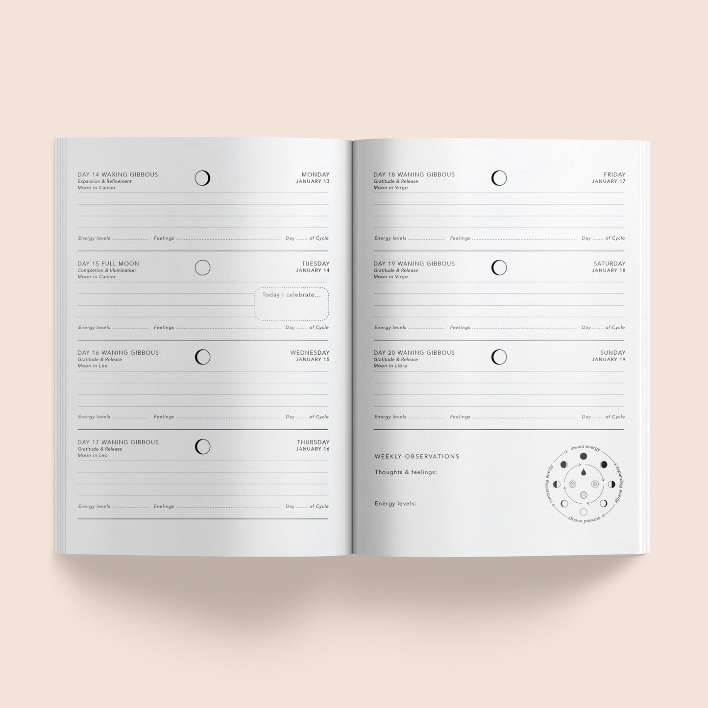 Lunar Diary 2025