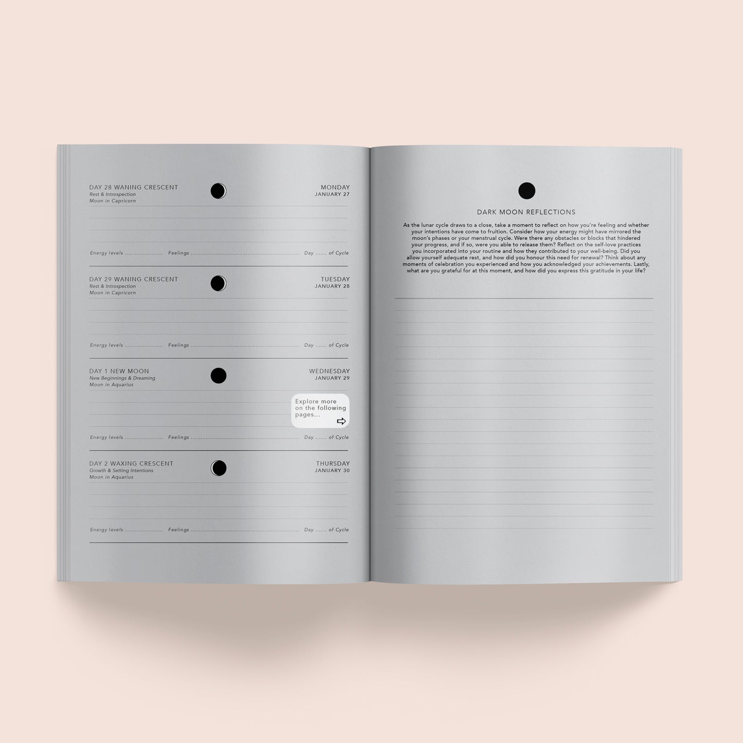 Lunar Diary 2025
