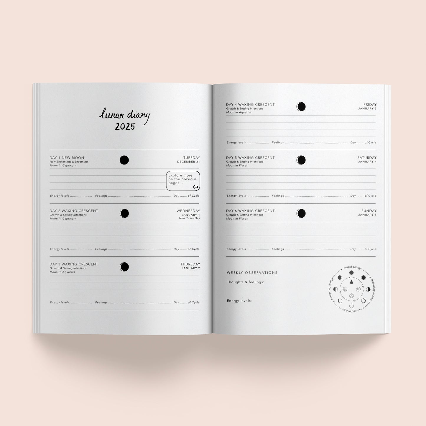 Lunar Diary 2025