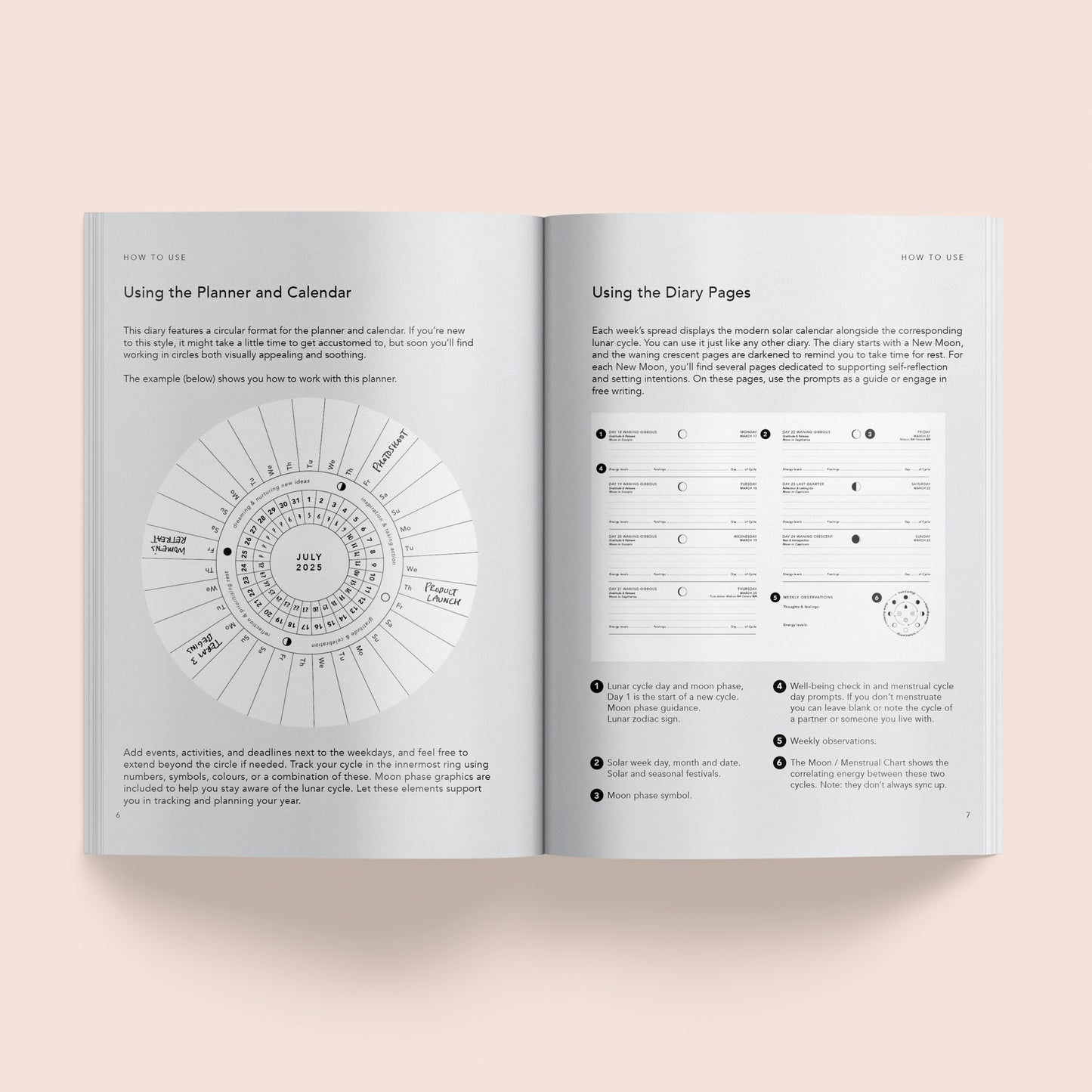 Lunar Diary 2025