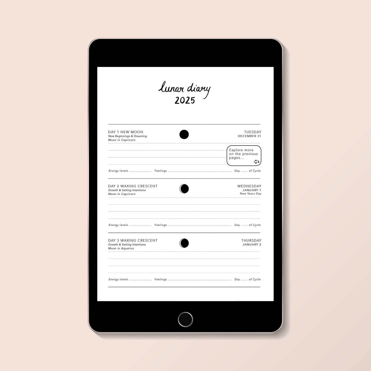 Digital Lunar Diary 2025 - Printable PDF