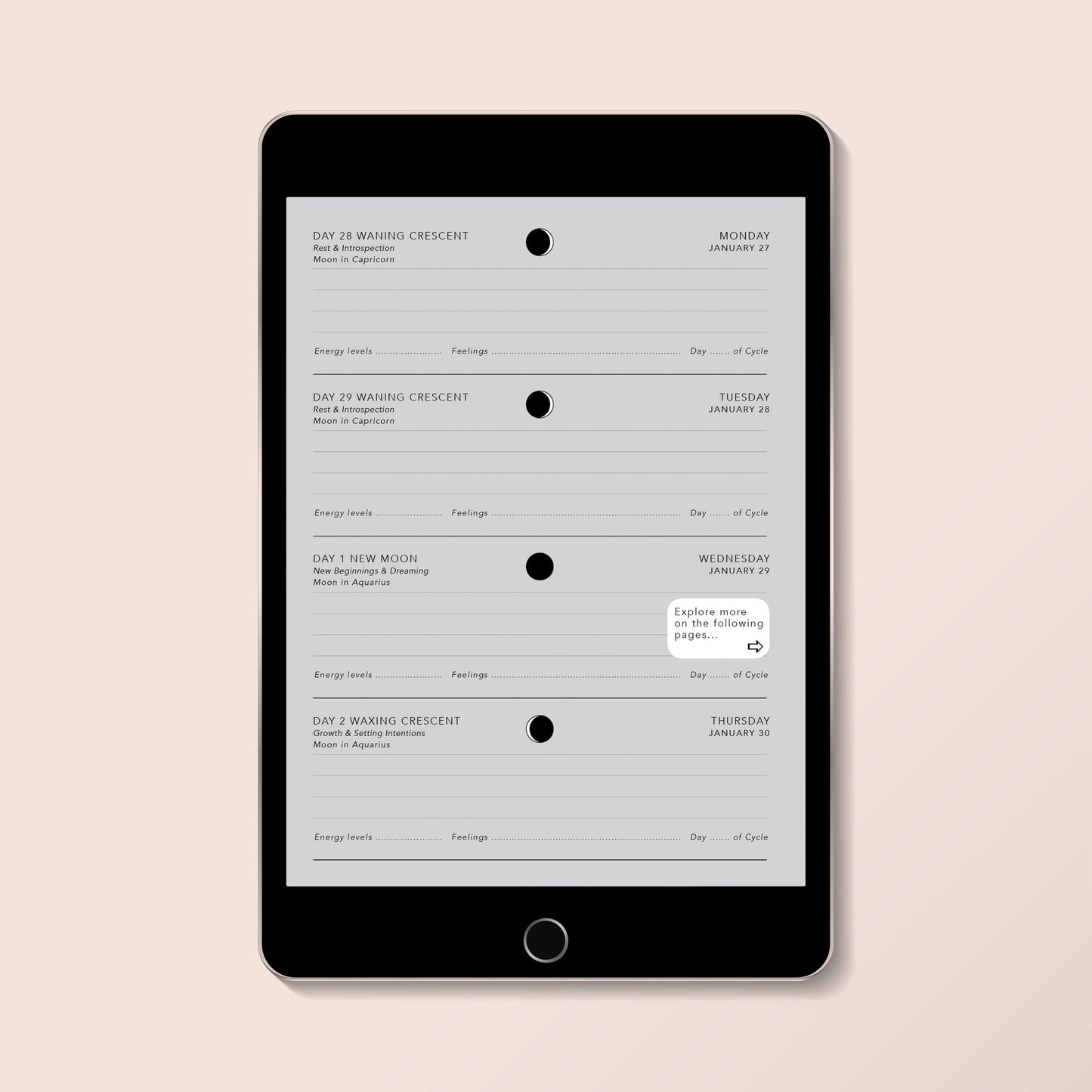 Digital Lunar Diary 2025 - Printable PDF