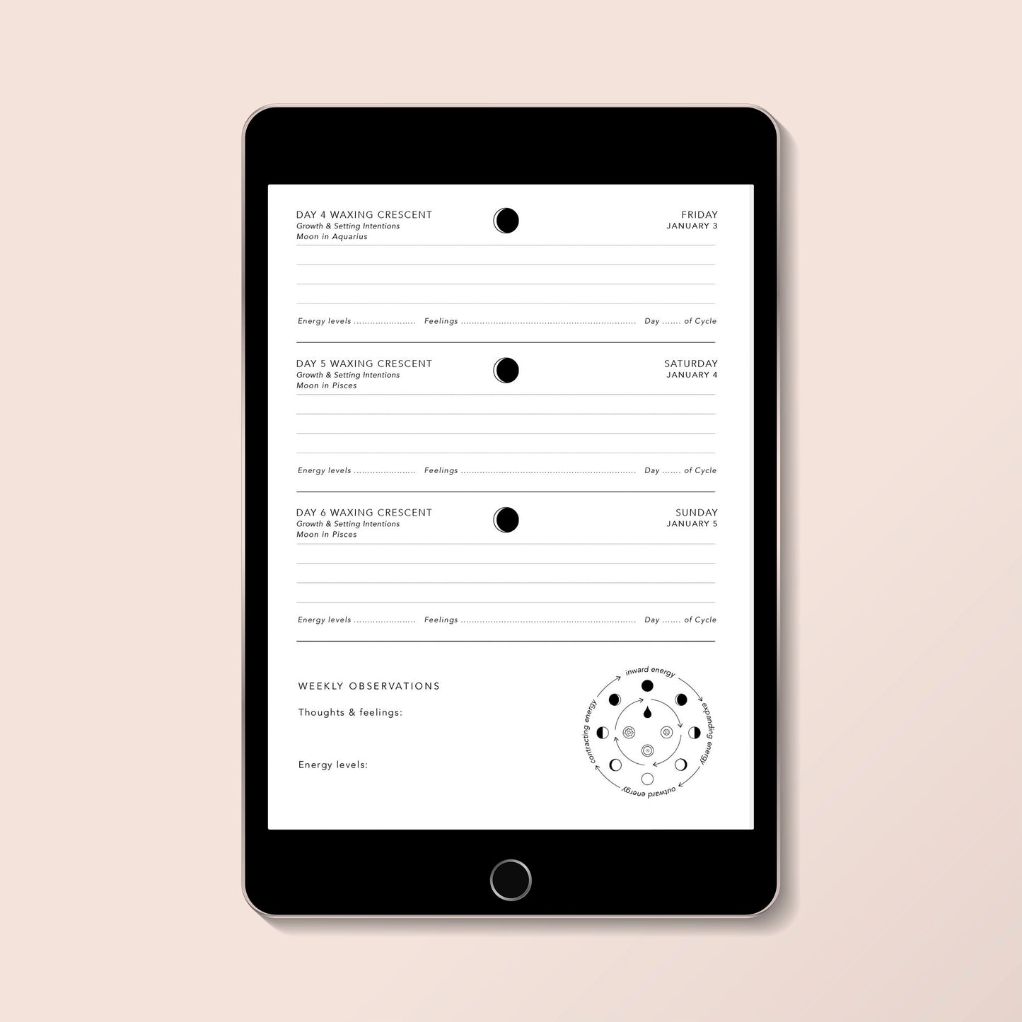 Digital Lunar Diary 2025 - Printable PDF