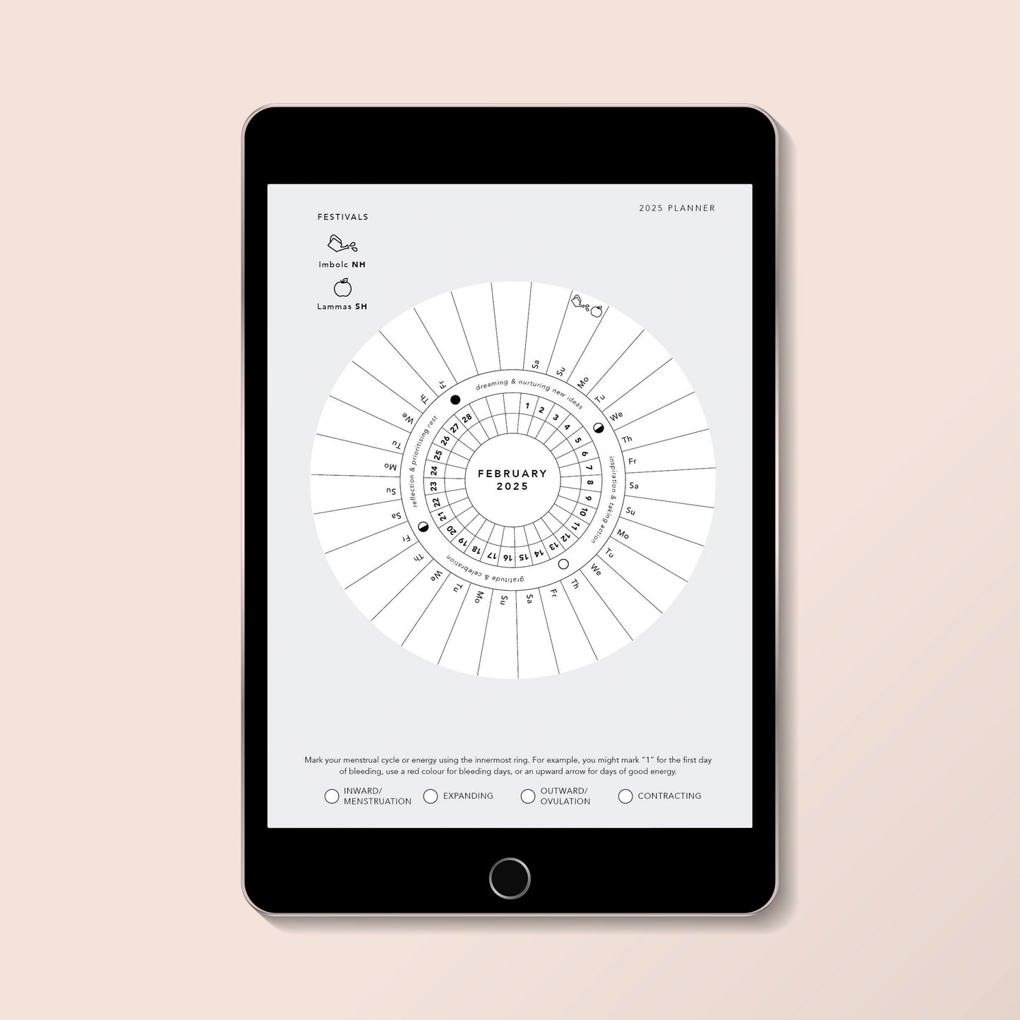 Digital Lunar Diary 2025 - Printable PDF