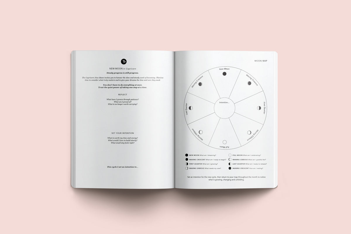 Pre-Order Lunar Diary 2027